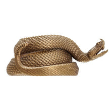 Load image into Gallery viewer, Rattlesnake Pen Holder