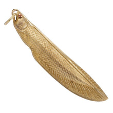 Load image into Gallery viewer, Osteoglossum Bicirrhosum