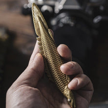 Load image into Gallery viewer, Polypterus
