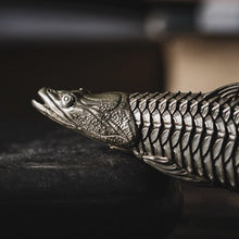 Load image into Gallery viewer, Polypterus