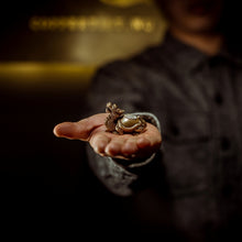 Load image into Gallery viewer, The Dragon Turtle Statue