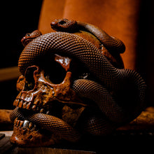 Load image into Gallery viewer, Skull with Vipers Big