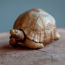 Load image into Gallery viewer, Tortoise Bowl