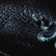 Load image into Gallery viewer, Silver Viper