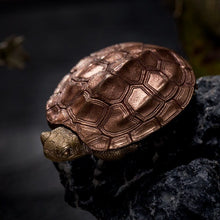 Load image into Gallery viewer, Turtle