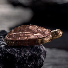 Load image into Gallery viewer, Turtle