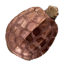 Load image into Gallery viewer, Turtle