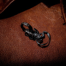 Load image into Gallery viewer, Silver Scorpion