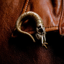 Load image into Gallery viewer, Bighorn Sheep Skull