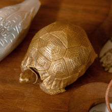 Load image into Gallery viewer, Tortoise Bowl