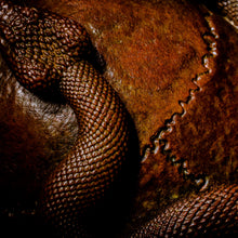 Load image into Gallery viewer, Skull with Vipers Big