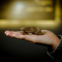 Load image into Gallery viewer, The Dragon Fish Statue