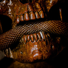 Load image into Gallery viewer, Skull with Vipers Big