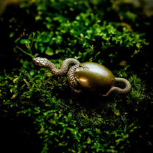 Load image into Gallery viewer, Hatching Snake