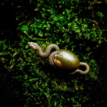 Load image into Gallery viewer, Hatching Snake
