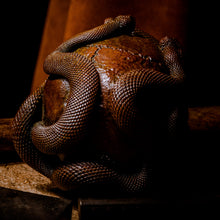 Load image into Gallery viewer, Skull with Vipers Big