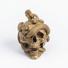 Load image into Gallery viewer, Skull with Vipers