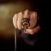 Load image into Gallery viewer, Silver Viper (Limited Edition)