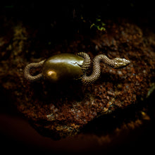 Load image into Gallery viewer, Hatching Snake