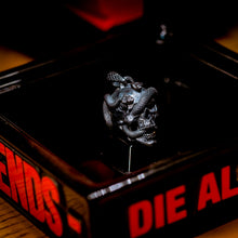 Load image into Gallery viewer, Skull with Vipers (Silver)