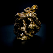 Load image into Gallery viewer, Skull with Vipers