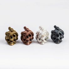 Load image into Gallery viewer, Skull with Vipers (Silver)
