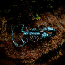 Load image into Gallery viewer, Silver Scorpion