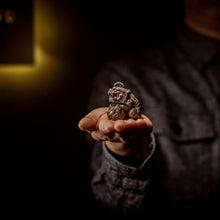 Load image into Gallery viewer, Haetae Statue