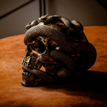 Load image into Gallery viewer, Skull with Vipers Big (Bronze)