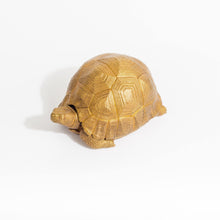 Load image into Gallery viewer, Tortoise Bowl