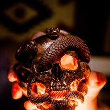Load image into Gallery viewer, Skull with Vipers Big
