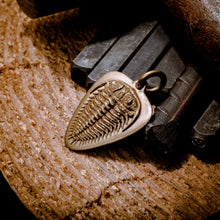 Load image into Gallery viewer, Trilobite fossil pendant