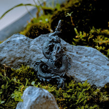 Load image into Gallery viewer, Silver Dragon