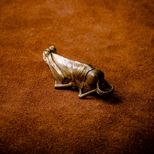 Load image into Gallery viewer, Locust (Grasshopper)