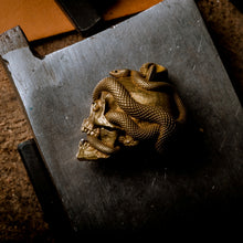 Load image into Gallery viewer, Skull with Vipers