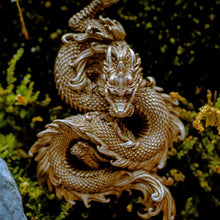 Load image into Gallery viewer, Dragon
