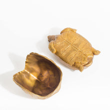 Load image into Gallery viewer, Tortoise Bowl