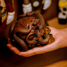 Load image into Gallery viewer, Skull with Vipers Big