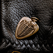 Load image into Gallery viewer, Trilobite fossil pendant