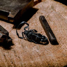 Load image into Gallery viewer, Silver Scorpion