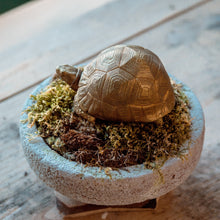 Load image into Gallery viewer, Tortoise Bowl