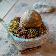 Load image into Gallery viewer, Tortoise Bowl