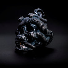Load image into Gallery viewer, Skull with Vipers (Silver)