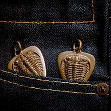 Load image into Gallery viewer, Trilobite fossil pendant