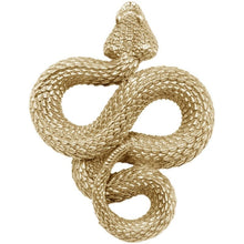 Load image into Gallery viewer, Rattlesnake Pin