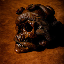 Load image into Gallery viewer, Skull with Vipers Big