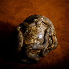 Load image into Gallery viewer, Skull with Vipers Big (Bronze)