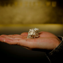 Load image into Gallery viewer, Skull with Vipers (Polished Silver)