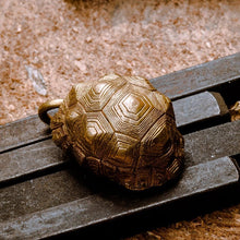 Load image into Gallery viewer, Tortoise Bell (Copper)
