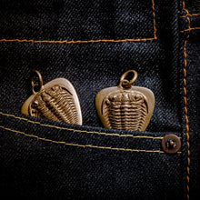 Load image into Gallery viewer, Trilobite fossil pendant